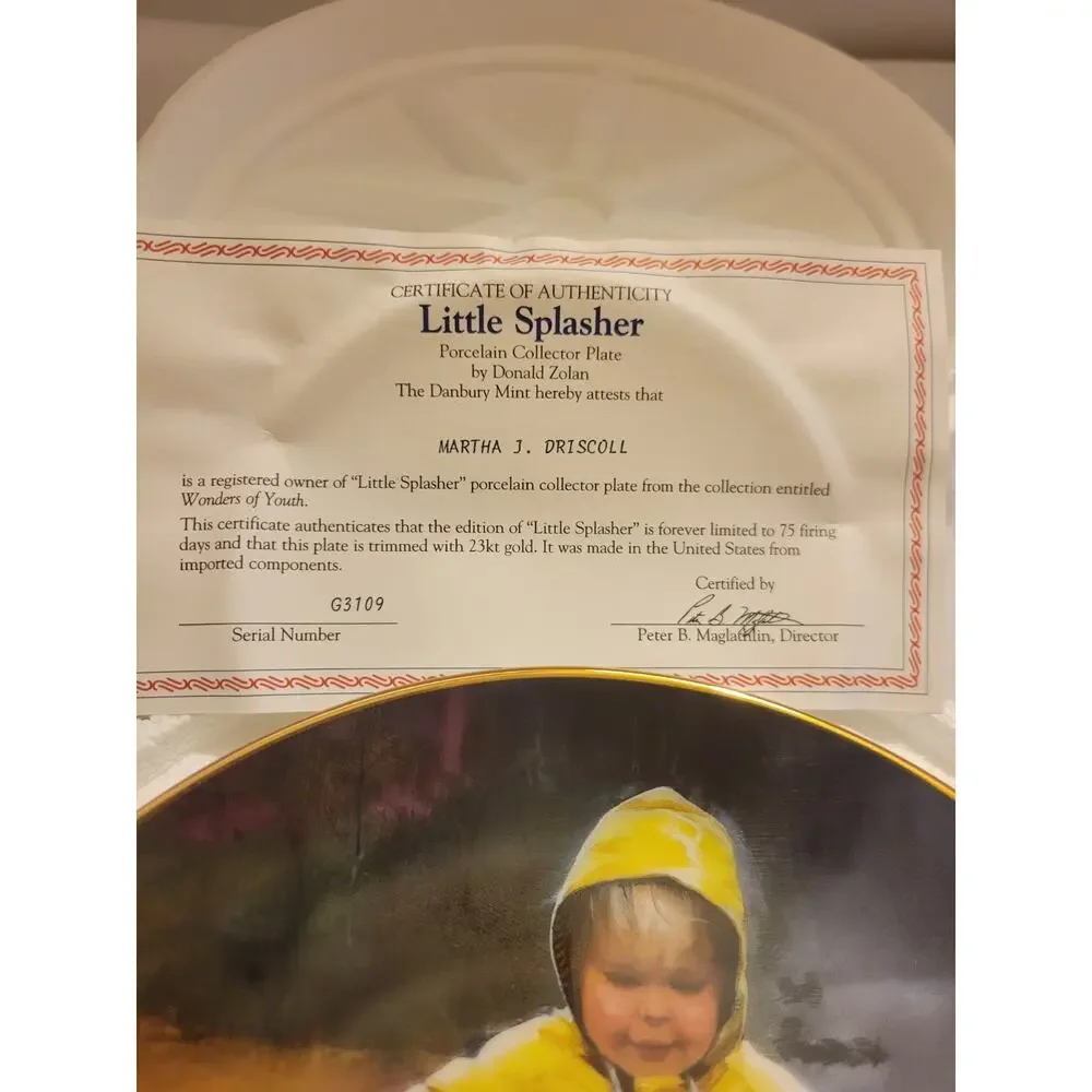 Danbury Mint Little Splasher by‎ Donald Zolan Collectible Plate with COA #G3109
